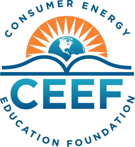 Image result for ceef logo